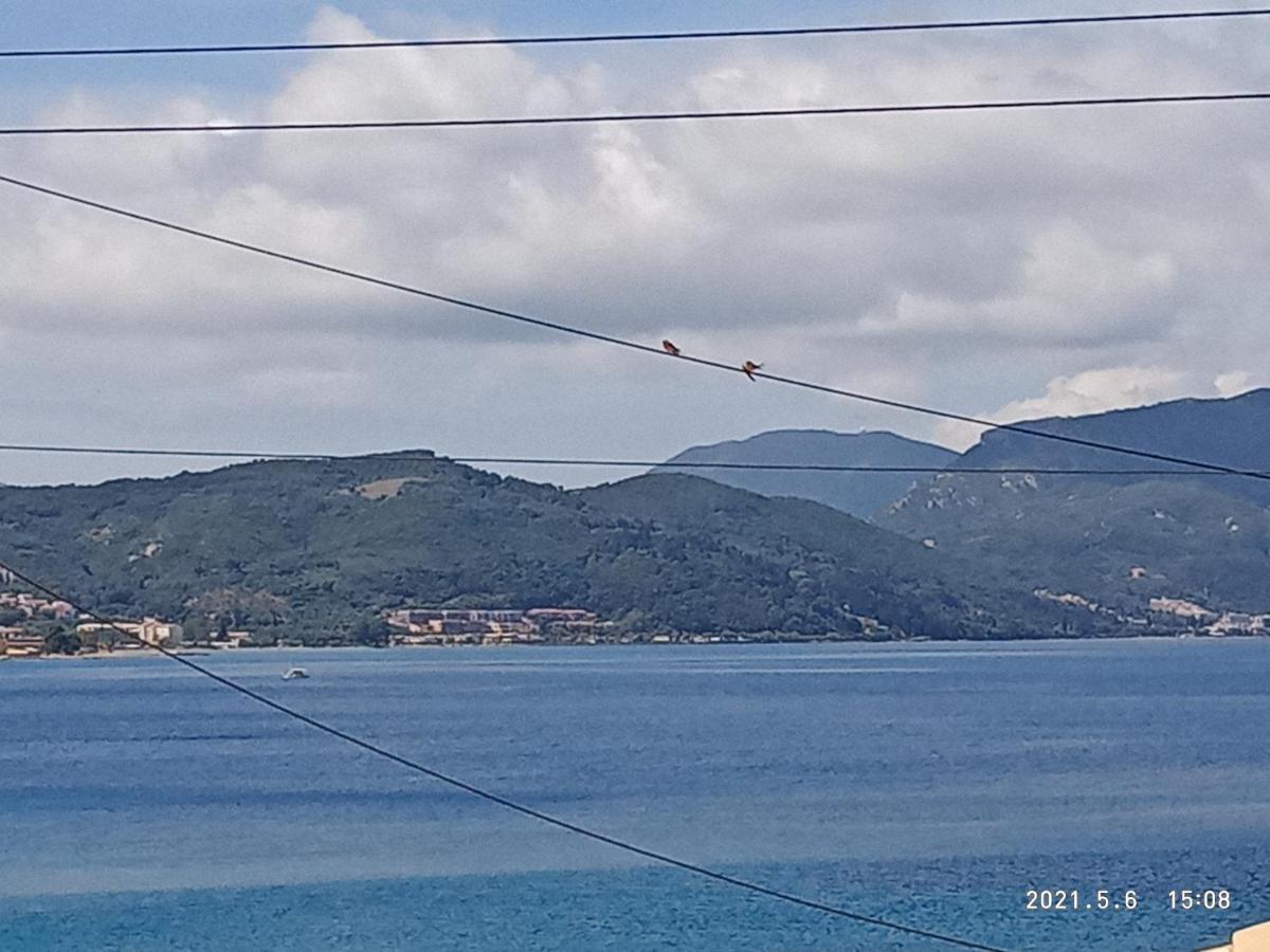Maria Corfu Apartments Μεσογγή Εξωτερικό φωτογραφία